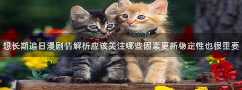 漫画岛网站入口大全