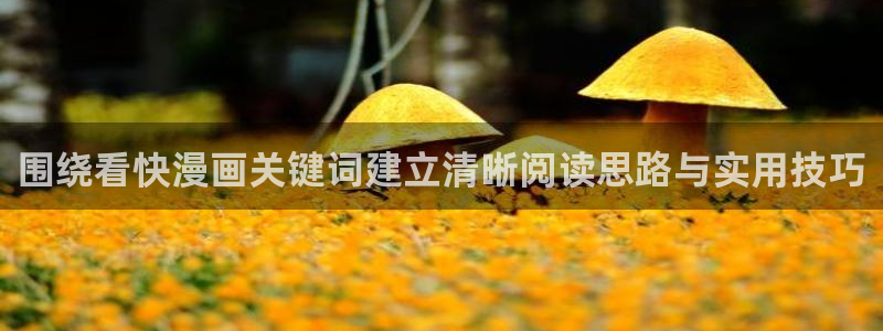 漫画岛最新漫画排行：围绕看快漫画关键词建立清晰阅读思路与实用技巧