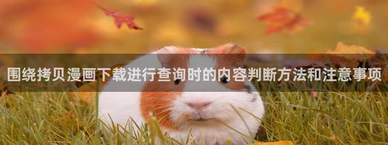 漫画岛网页版入口:围绕拷贝漫画下载进行查询时的内容判断方法和注意事项
