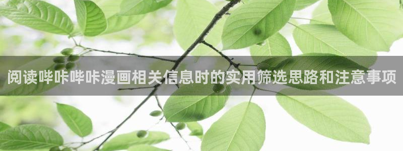 漫画岛新作漫画:阅读哔咔哔咔漫画相关信息时的实用筛选思路和注意事项