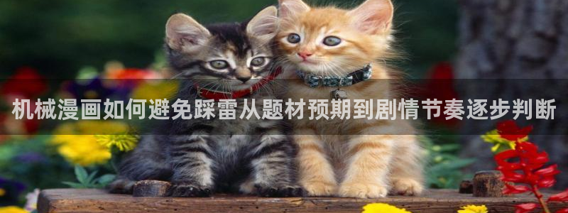 漫画岛漫画推荐大全:机械漫画如何避免踩雷从题材预期到剧情节奏逐步判断